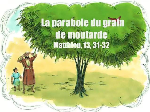 parabole grain de moutarde
